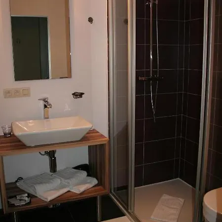 Hotel Carpinus