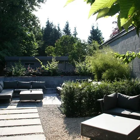 Carpinus Herent