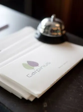 Hotel Carpinus
